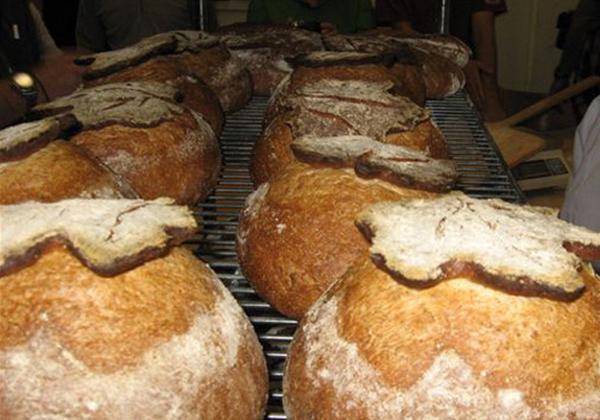 Bread cooling