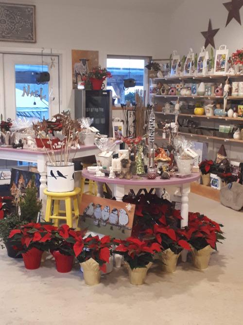 VIU Horticulture, Poinsettia, Vancouver Island University, Students, Kleijn Nursery and Garden Centre