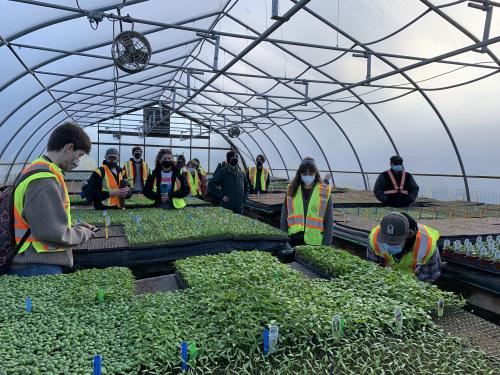 Horticulture students in a greenhouse filled with plants. 