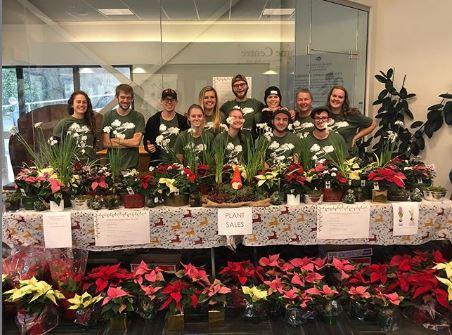 VIU Horticulture, Poinsettia, Vancouver Island University