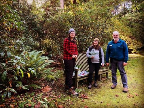 VIU Horticulture students, rhododendron cuttings, rhododendron revival