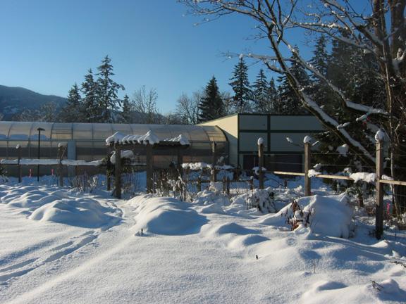 Photo of Adeline Hawken Memorial Garden in winter