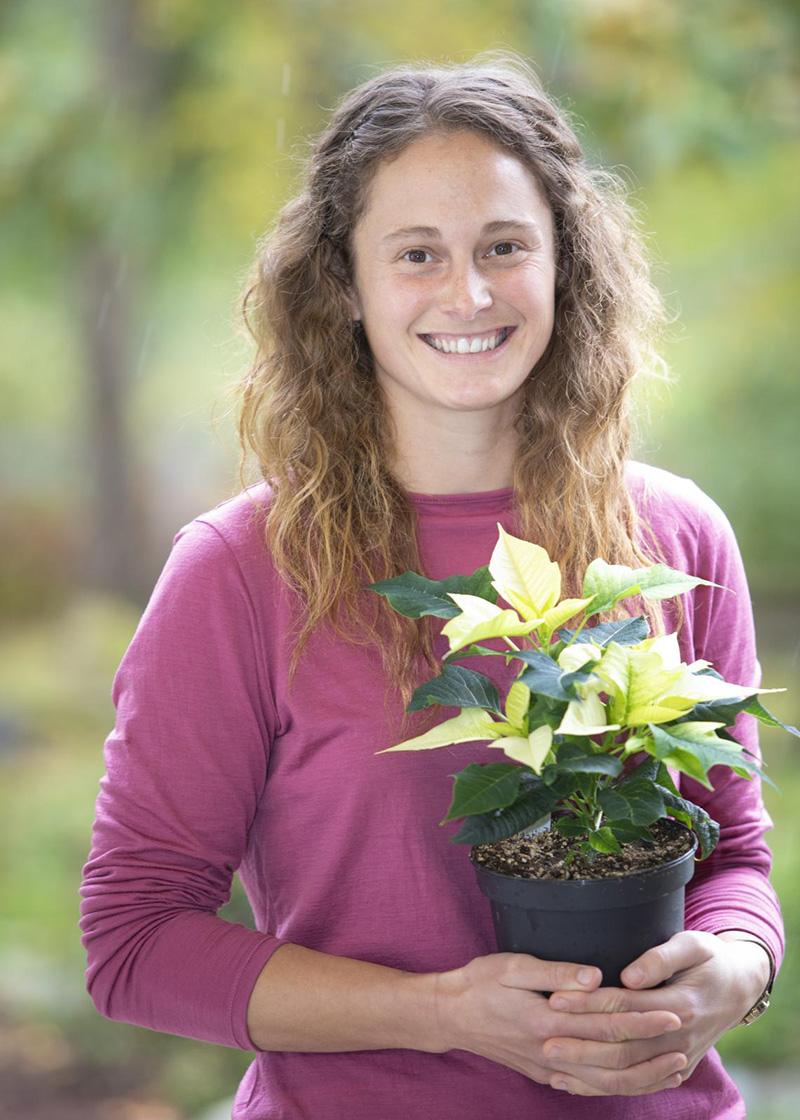 A smiling woman holding a pot of poinsettia